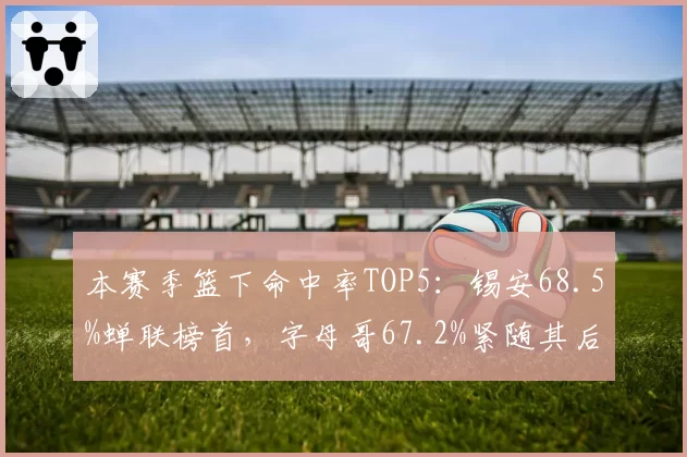 本赛季篮下命中率TOP5:锡安68.5%蝉联榜首,字母哥67.2%紧随其后
