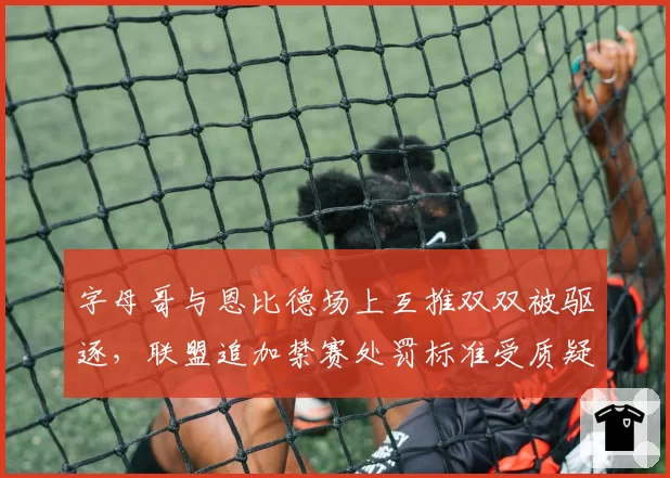 字母哥与恩比德场上互推双双被驱逐，联盟追加禁赛处罚标准受质疑