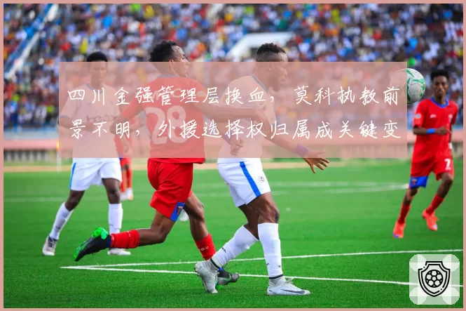 四川金强管理层换血，莫科执教前景不明，外援选择权归属成关键变量？