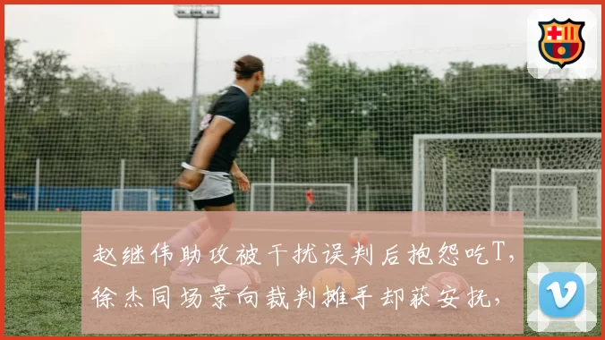 赵继伟助攻被干扰误判后抱怨吃T，徐杰同场景向裁判摊手却获安抚，核心后卫话语权对比鲜明